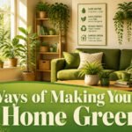 A collection of eco-friendly home improvement ideas.